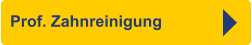 Prof. Zahnreinigung