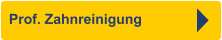 Prof. Zahnreinigung