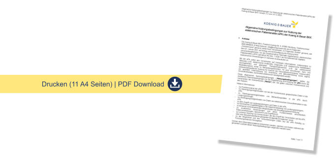 Drucken (11 A4 Seiten) | PDF Download
